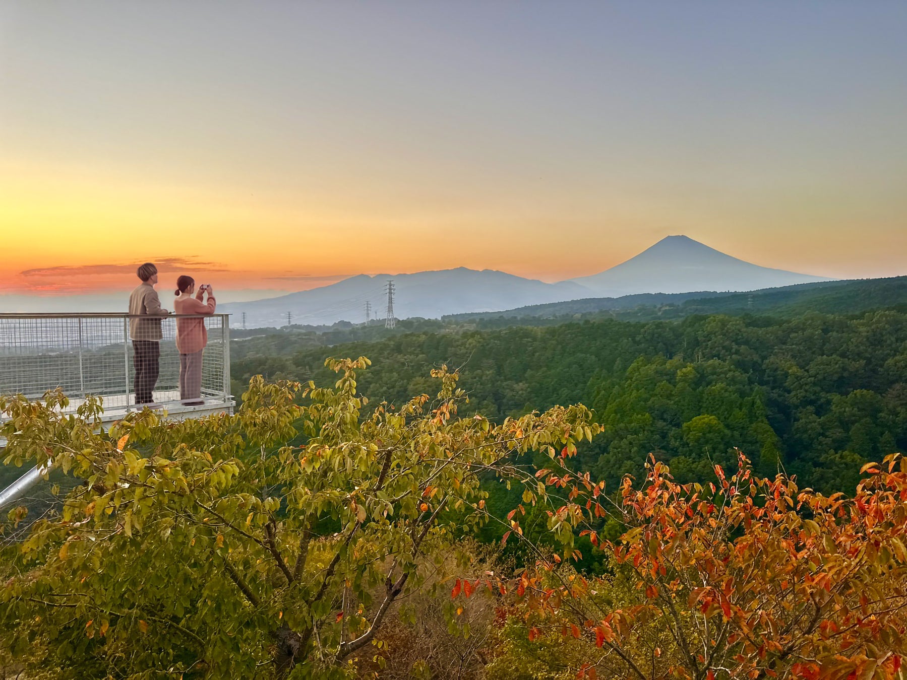 三島Skywalk「空紅葉」11月中旬迎觀賞期　10周年新展望台首度迎秋