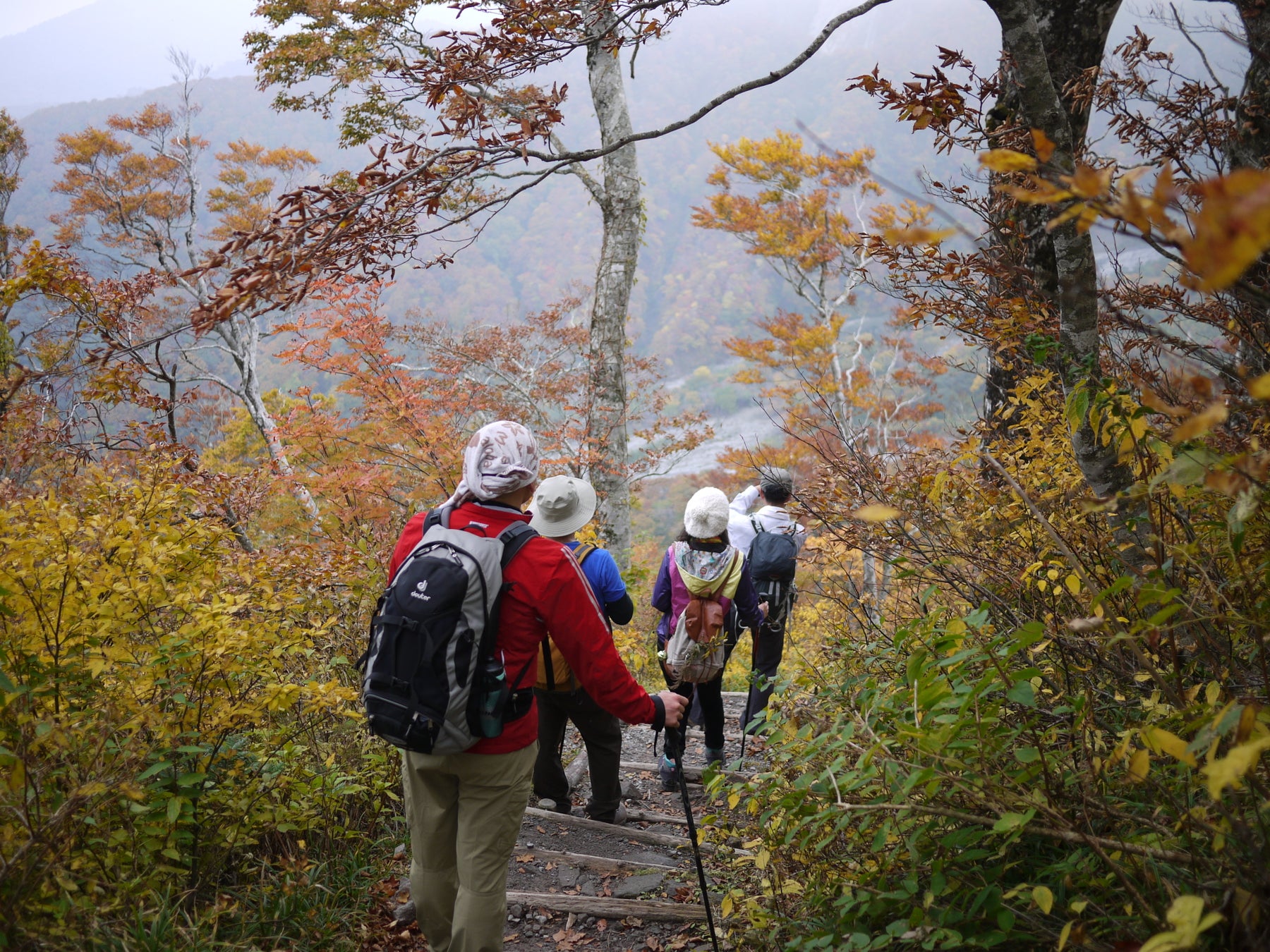 岡山蒜山高原紅葉由山頂往平地接力 休暇村推登山應援住宿含接送便當