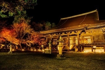 滋賀三井寺夜間特別參拜 國寶金堂內陣罕見公開、紅葉點燈11月28日與12月5日