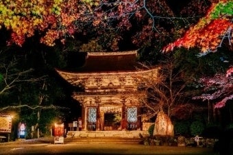 滋賀三井寺夜間特別參拜 國寶金堂內陣罕見公開、紅葉點燈11月28日與12月5日
