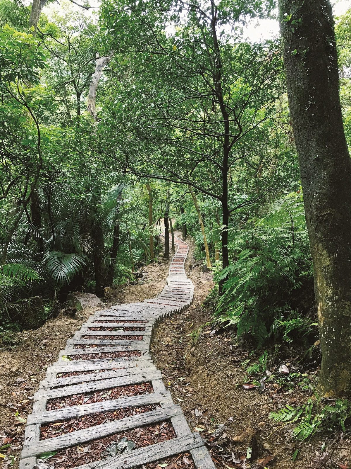 里山川公共藝術計畫登場！看文化、走千階，指南山秋遊趣