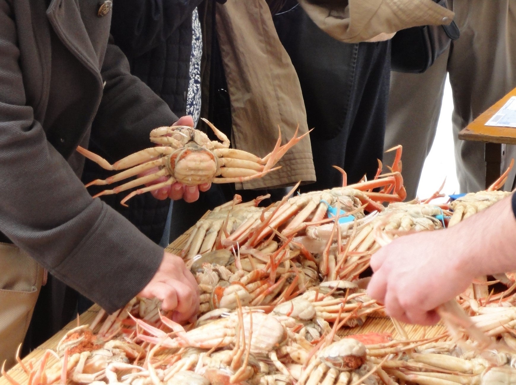 加賀溫泉鄉「山代螃蟹祭」11月15日 九谷燒碗盛熱螃蟹湯限量600碗