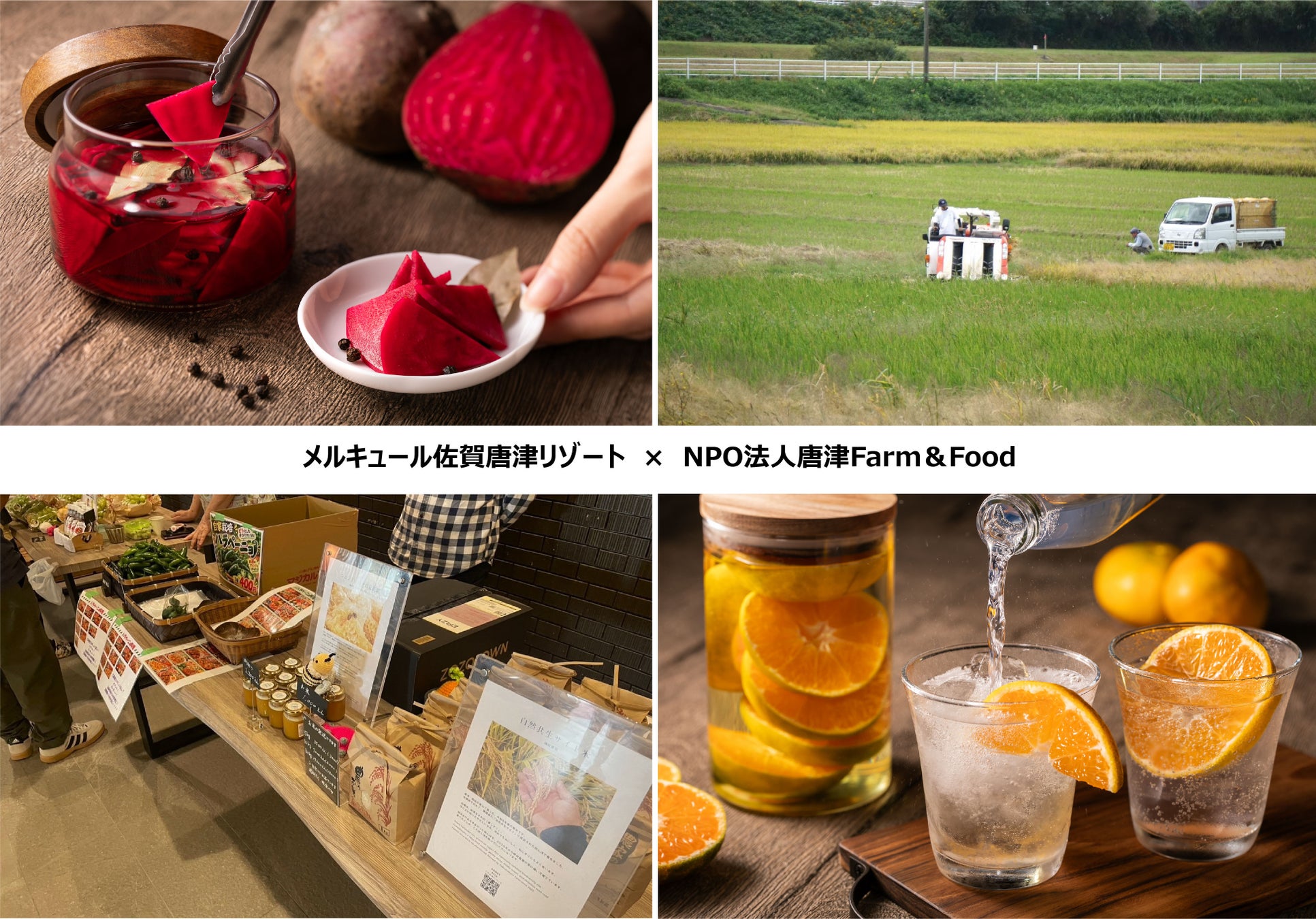 佐賀唐津Mercure度假飯店攜手在地農產 11月起休息室每月推出當季唐津蔬果