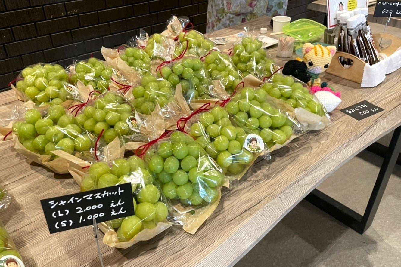 佐賀唐津Mercure度假飯店攜手在地農產 11月起休息室每月推出當季唐津蔬果