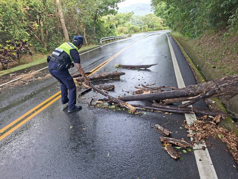 颱風過後路樹倒塌　大武警即時排除守護連假行車安全