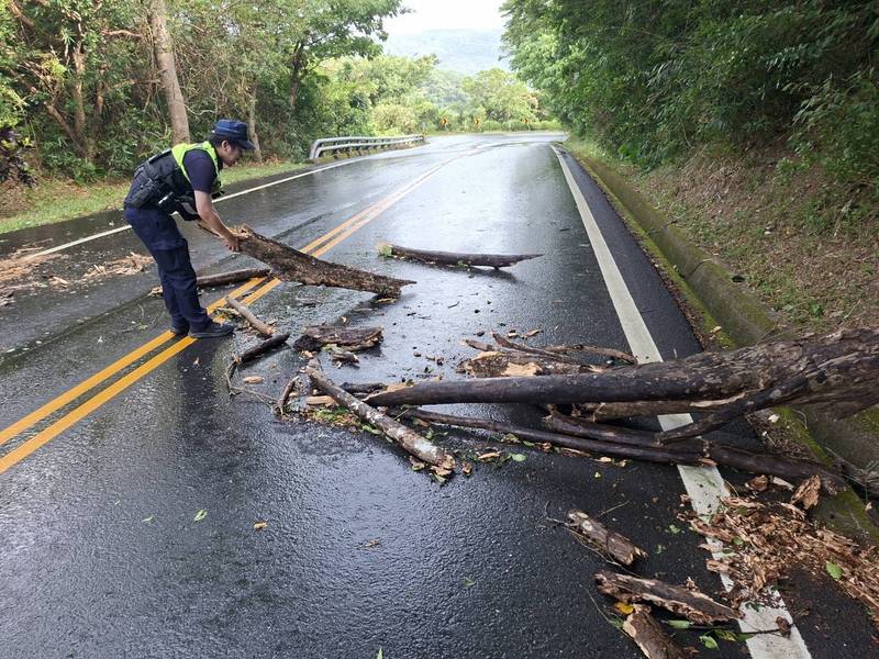 颱風過後路樹倒塌　大武警即時排除守護連假行車安全