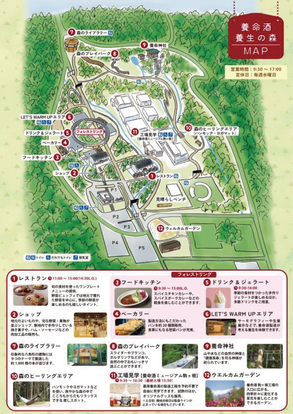 長野駒根「養命酒 養生之森」11月地瓜祭　地瓜飯、麵包與義式冰淇淋登場