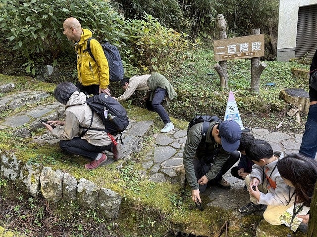 箱根恩賜箱根公園「自然滿喫之旅」11月22日 跟著導覽員觀察青苔