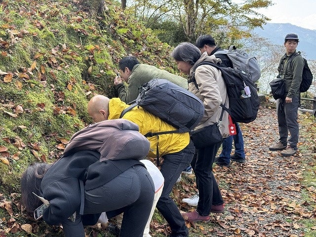 箱根恩賜箱根公園「自然滿喫之旅」11月22日 跟著導覽員觀察青苔