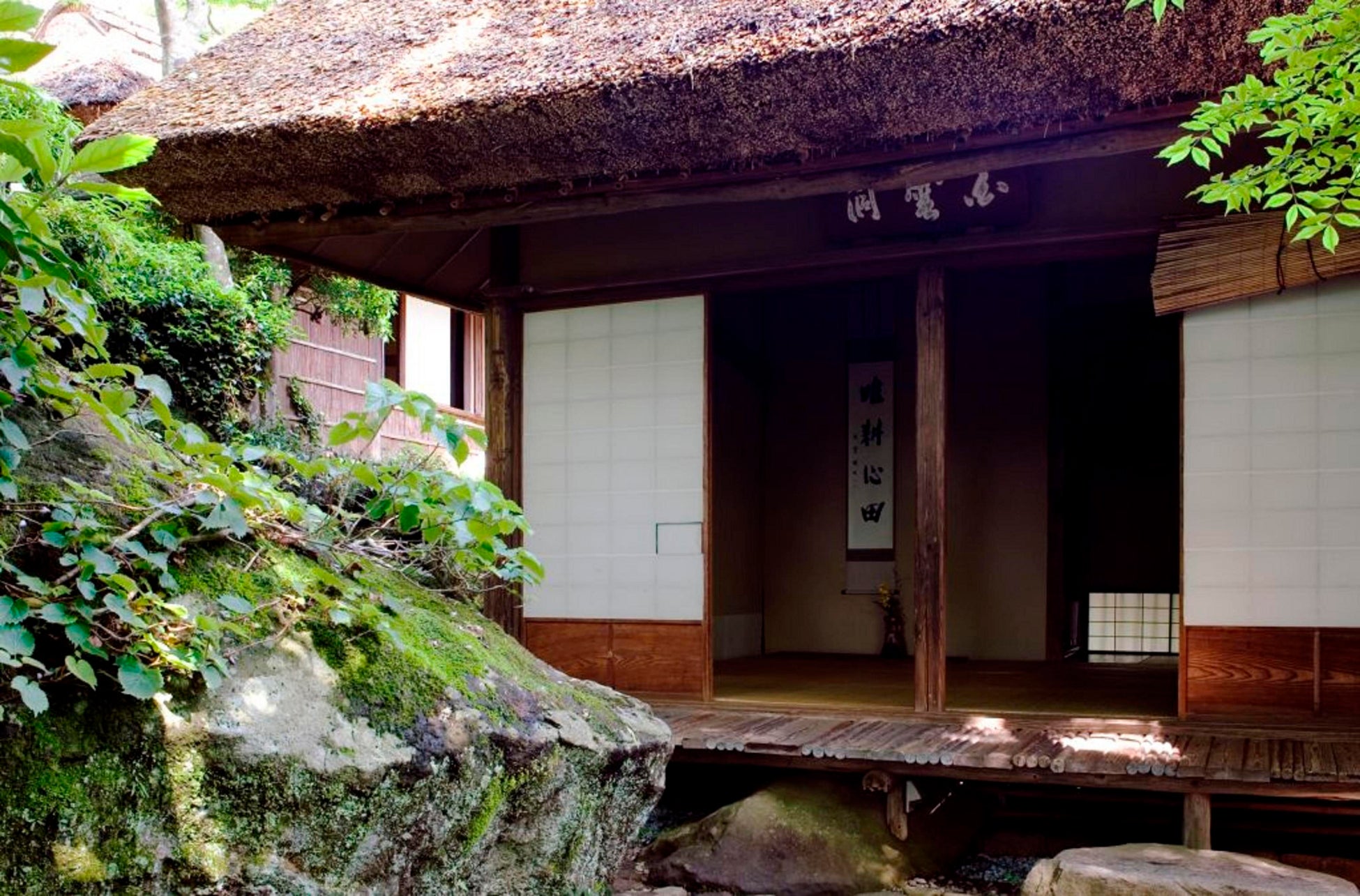 箱根強羅公園百年茶室「白雲洞茶苑」11月辦抹茶體驗 日英雙語、自己點茶3000日圓