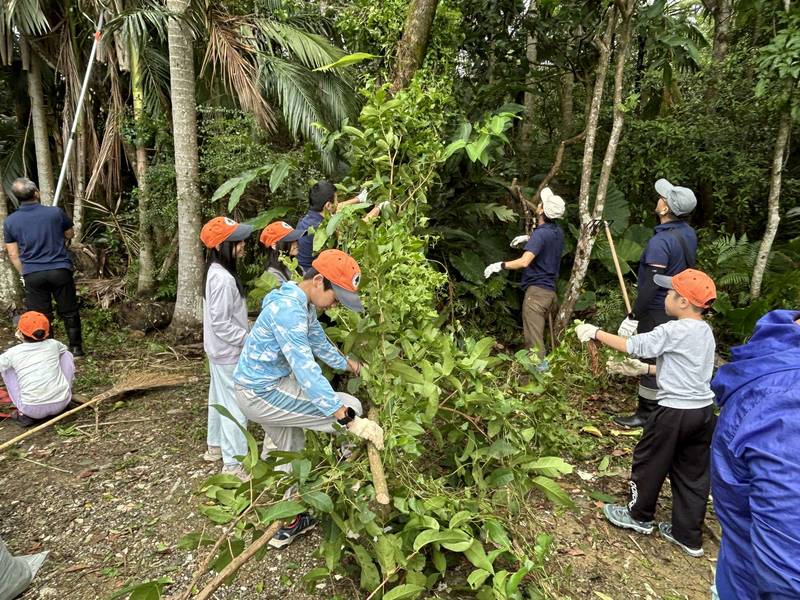 新竹分署與直潭國小除蔓護林 30人拔除40公斤小花蔓澤蘭