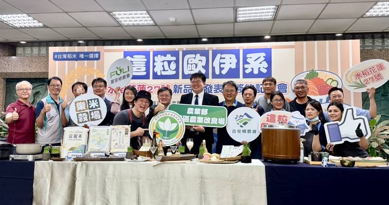 花蓮27號水稻新品種亮相 花蓮農改場攜手三家產銷單位推動契作
