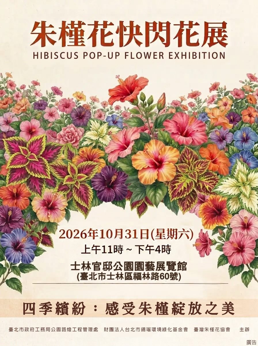 朱槿清晨採摘送展 士林官邸5小時快閃登場
