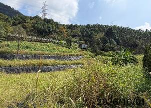 台南市政府持續關注山坡地現況加強巡查取締不法