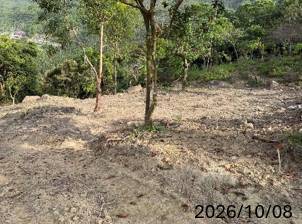 台南市政府持續關注山坡地現況加強巡查取締不法