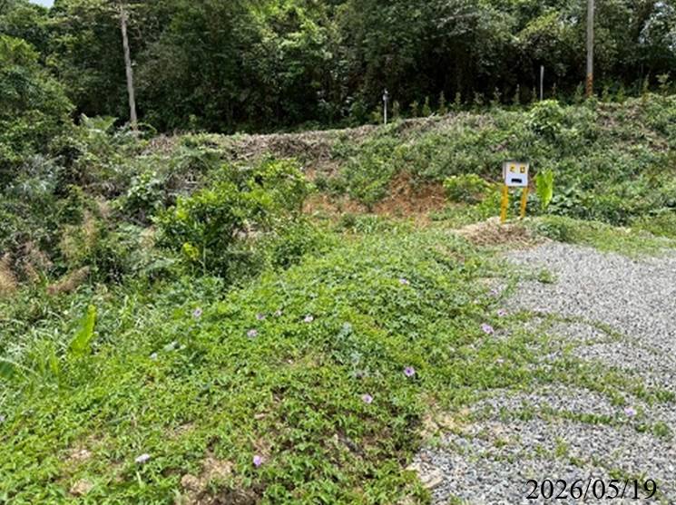 台南市政府持續關注山坡地現況加強巡查取締不法