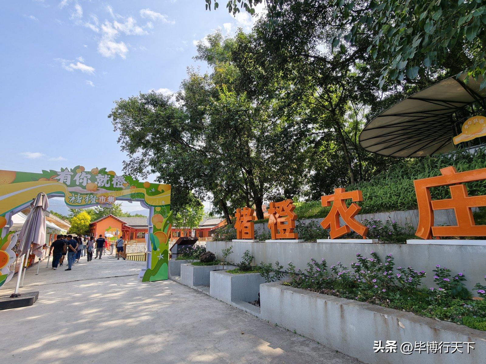 褚橙莊園
