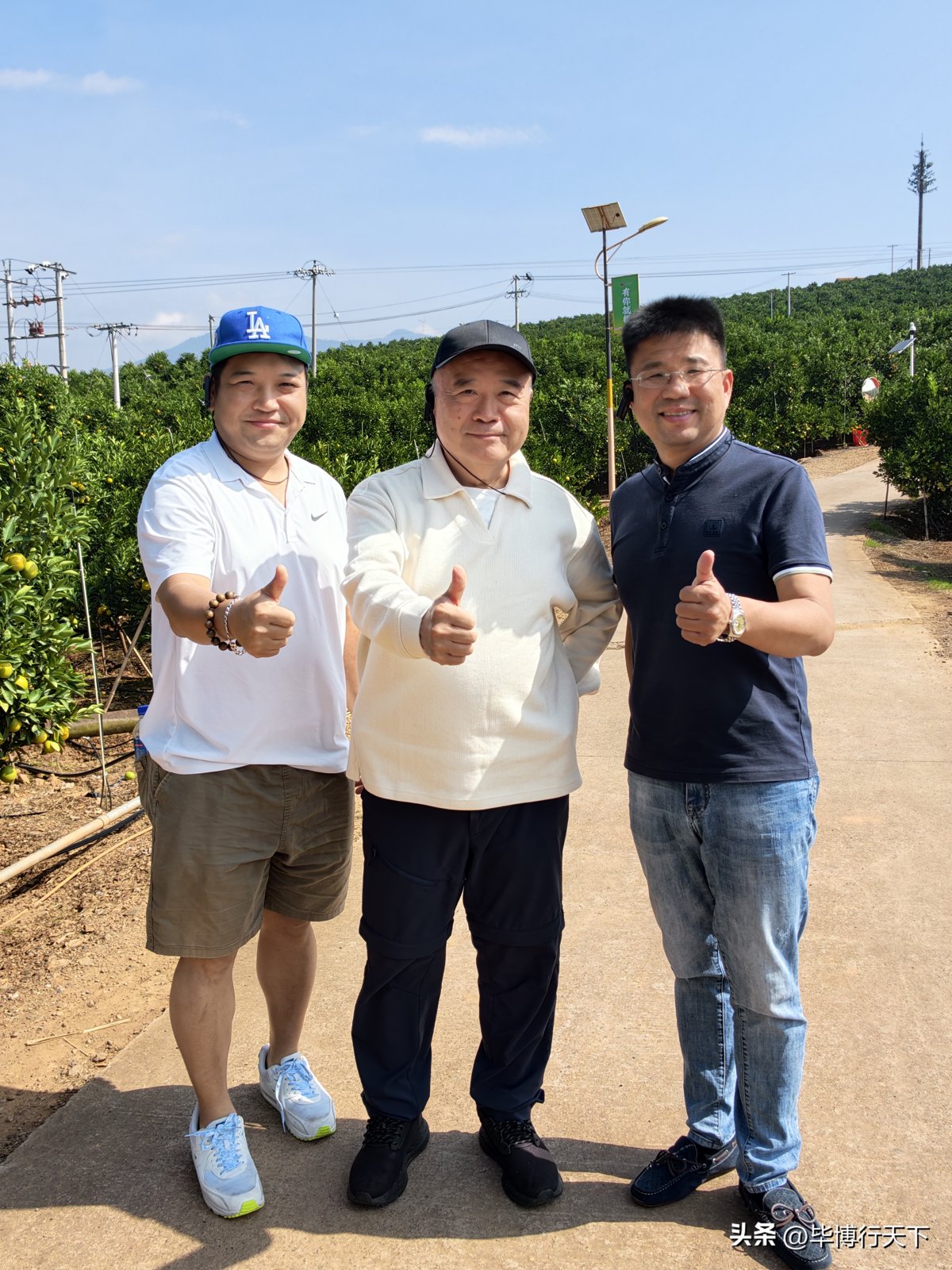 褚橙莊園