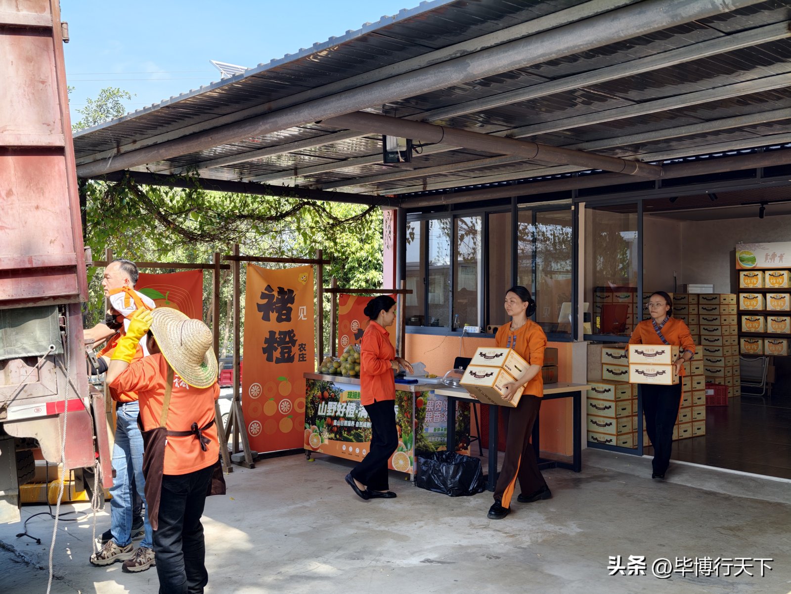 褚橙莊園