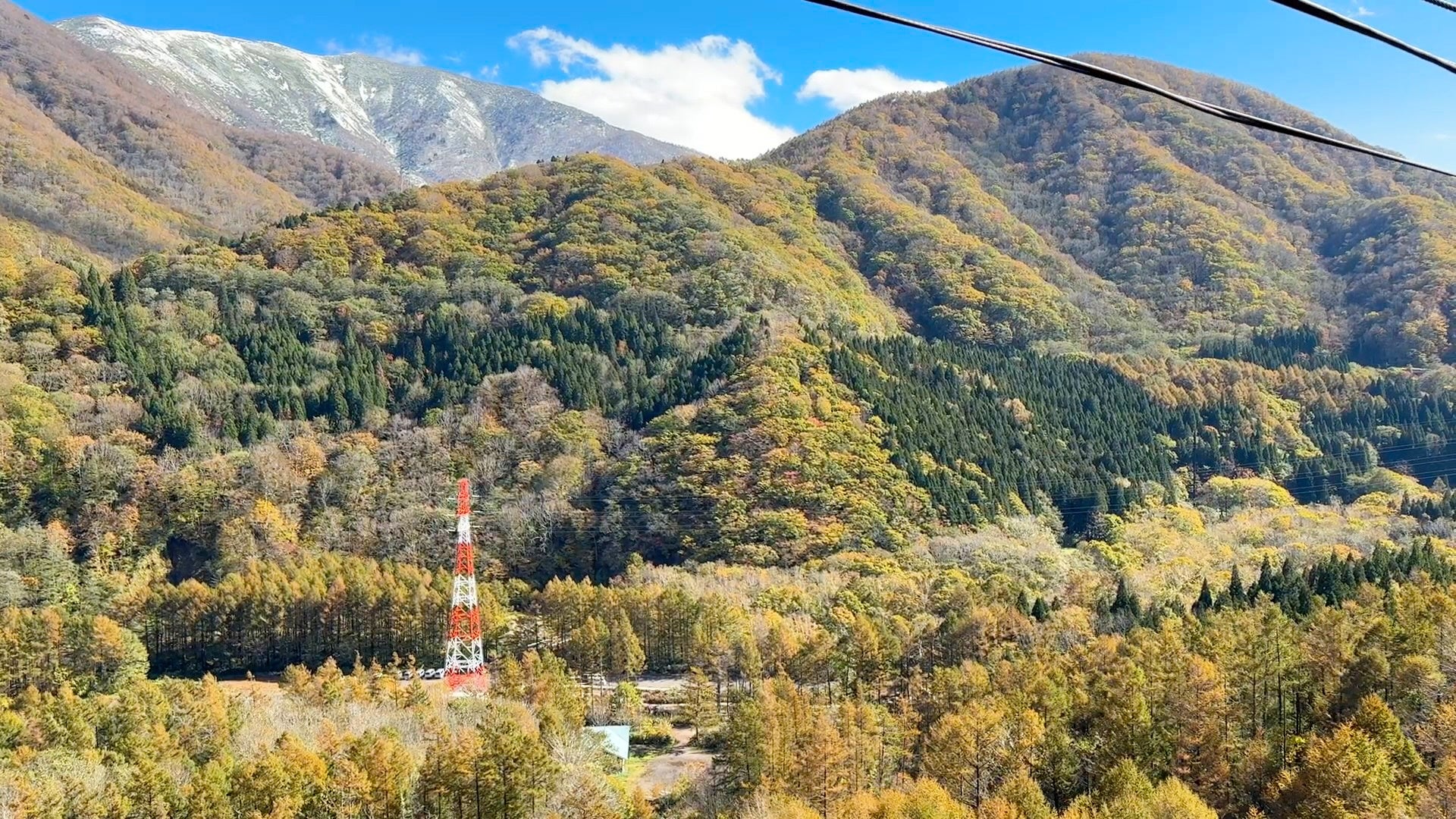 新潟苗場紅葉進入最佳觀賞期 日本最長纜車「苗場Dragondola」營運到11月8日
