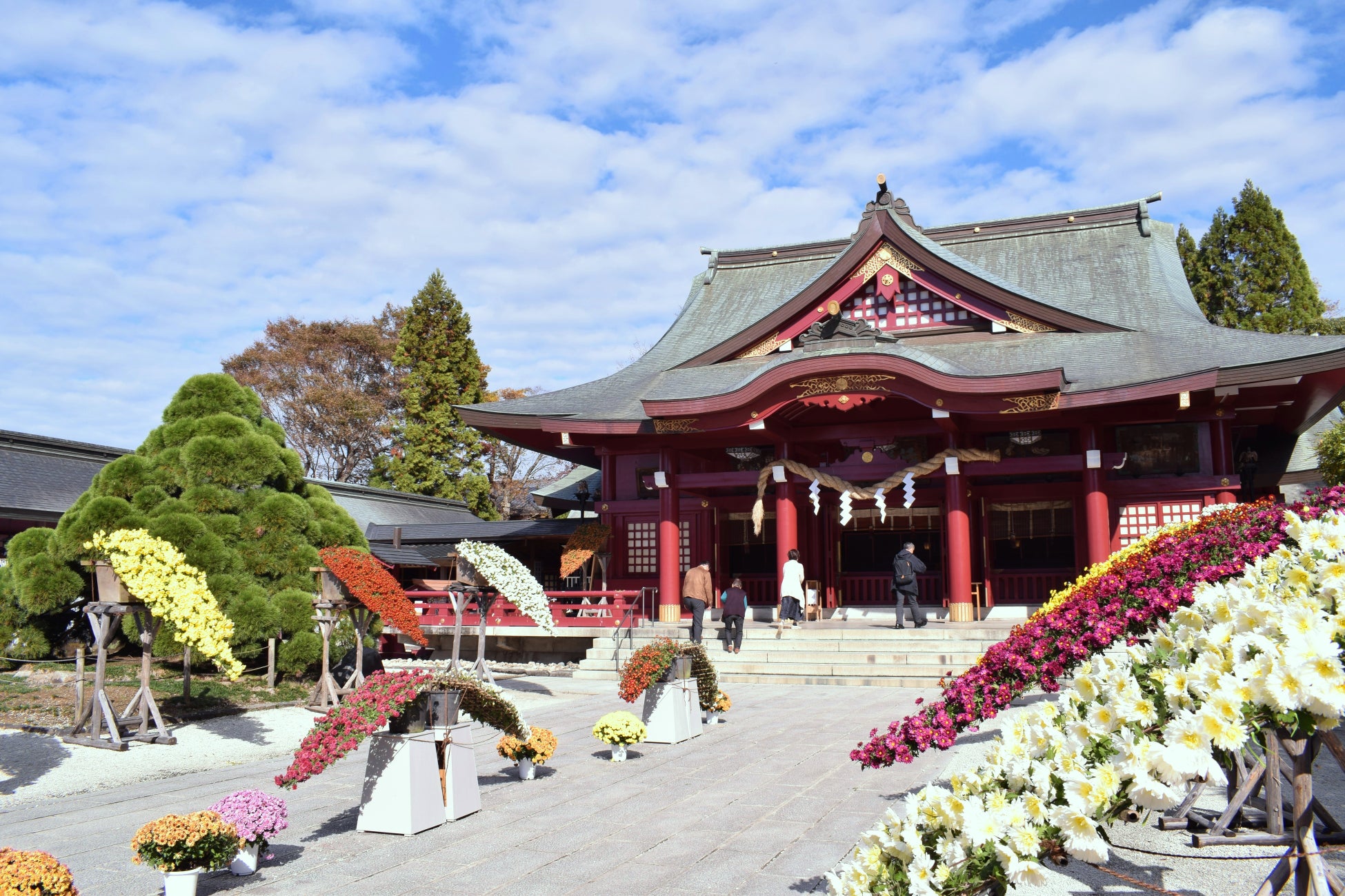 茨城「笠間菊祭」第119屆登場 日本最古老菊花祭典、笠間稻荷神社菊人形必看
