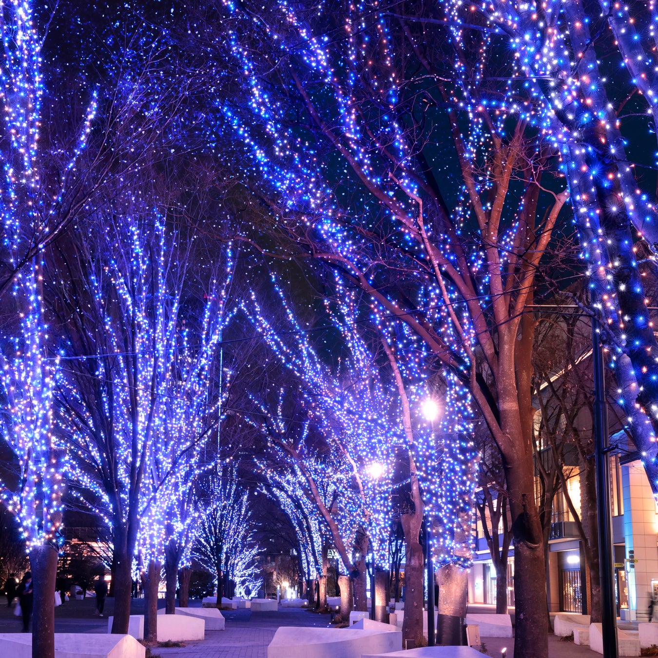橫濱冬季燈飾活動整合宣傳「THE YOKOHAMA ILLUMINATION」11月起　48場活動數位集章抽住宿券