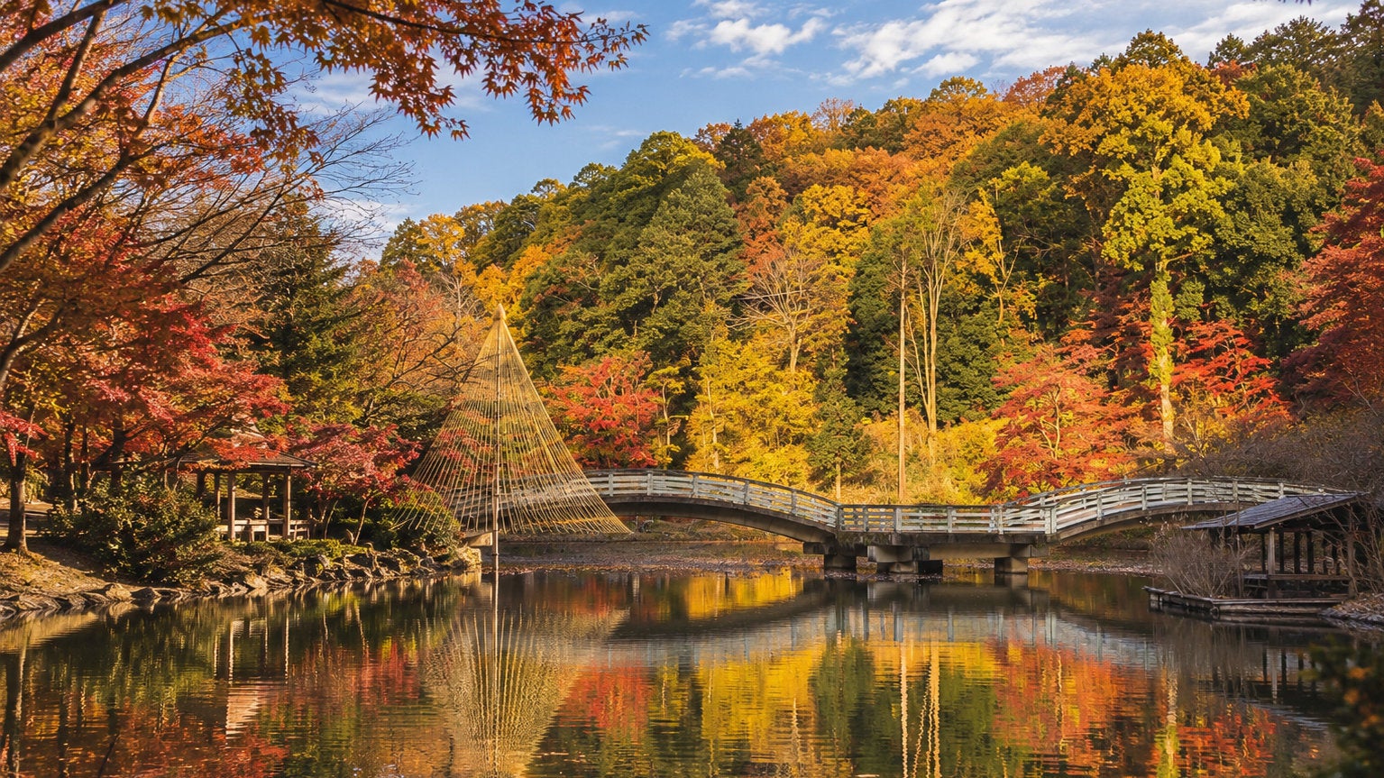 東京町田藥師池公園賞楓市集11月15日 16家人氣店、現場音樂、免費入場