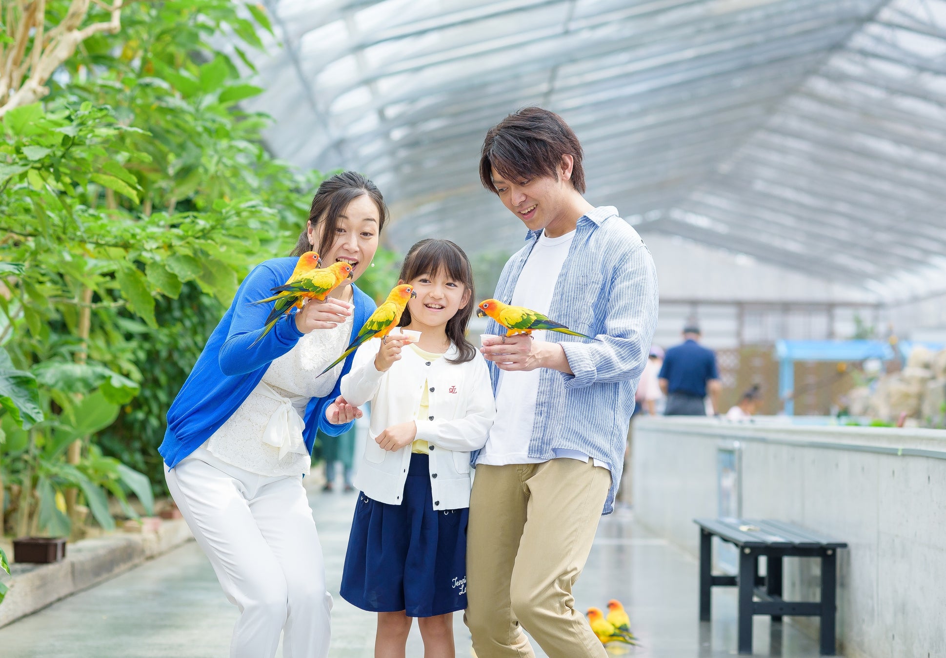 JR東海「EX旅先預約」秋冬大特價　品川水族館、阿倍野HARUKAS 300等門票打9折