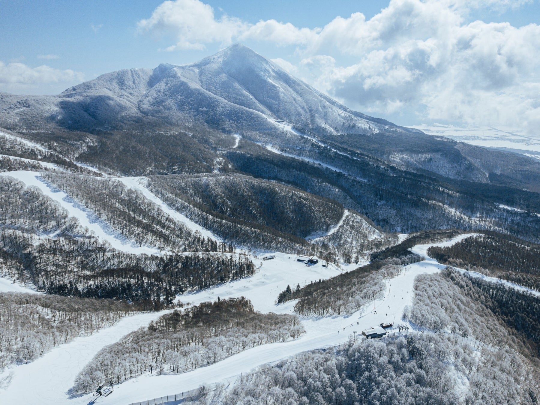 福島NEKOMA MOUNTAIN×山形藏王溫泉滑雪場跨縣合作 明年2月開直達巴士、雙雪場套票11月15日開賣