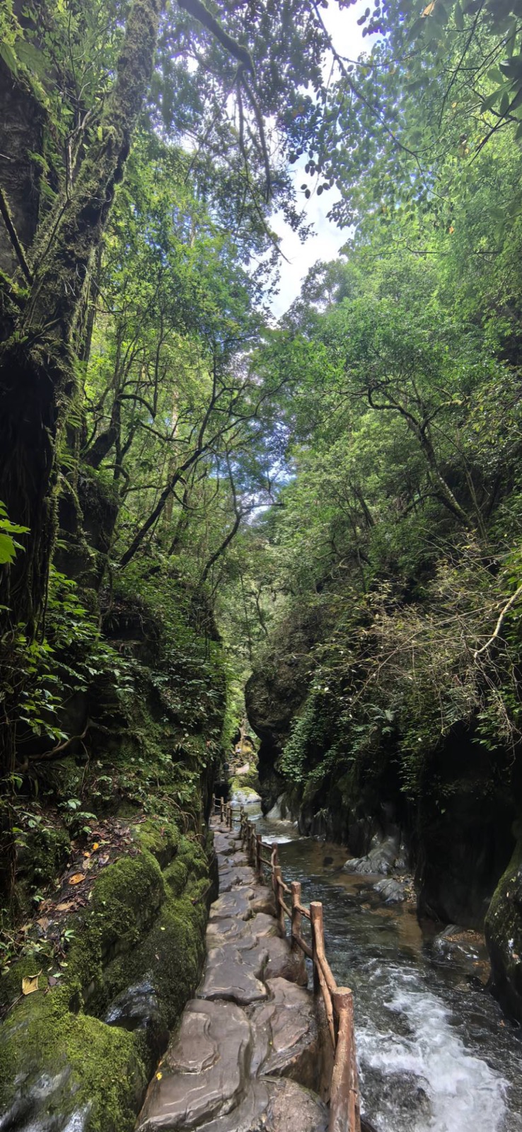 哀牢山石門峽