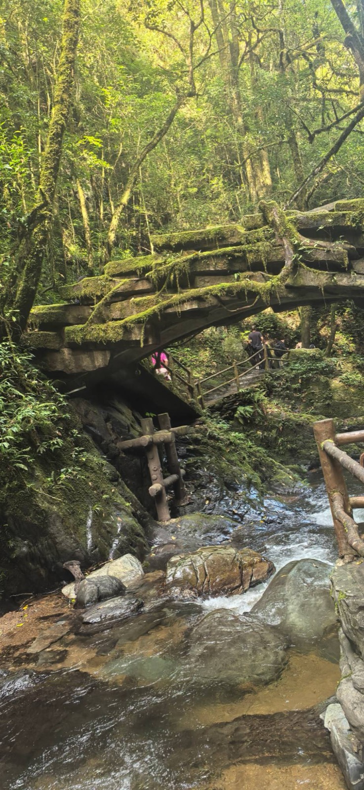 哀牢山石門峽