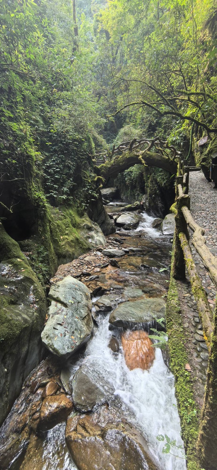 哀牢山石門峽