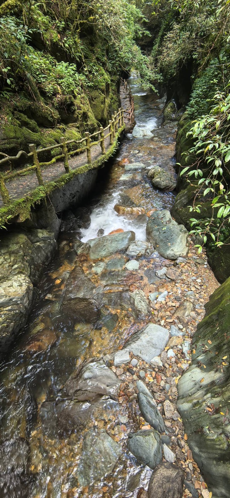 哀牢山石門峽