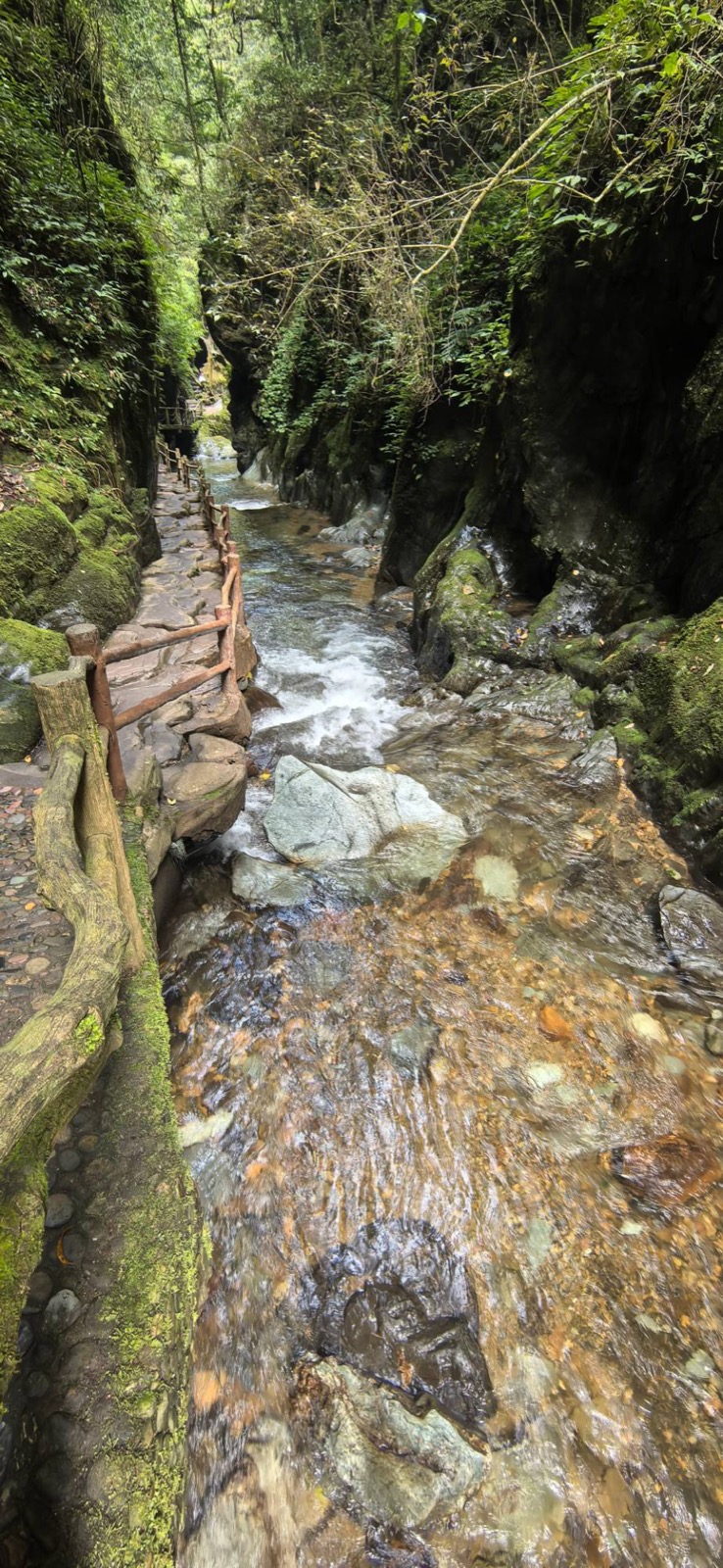 哀牢山石門峽