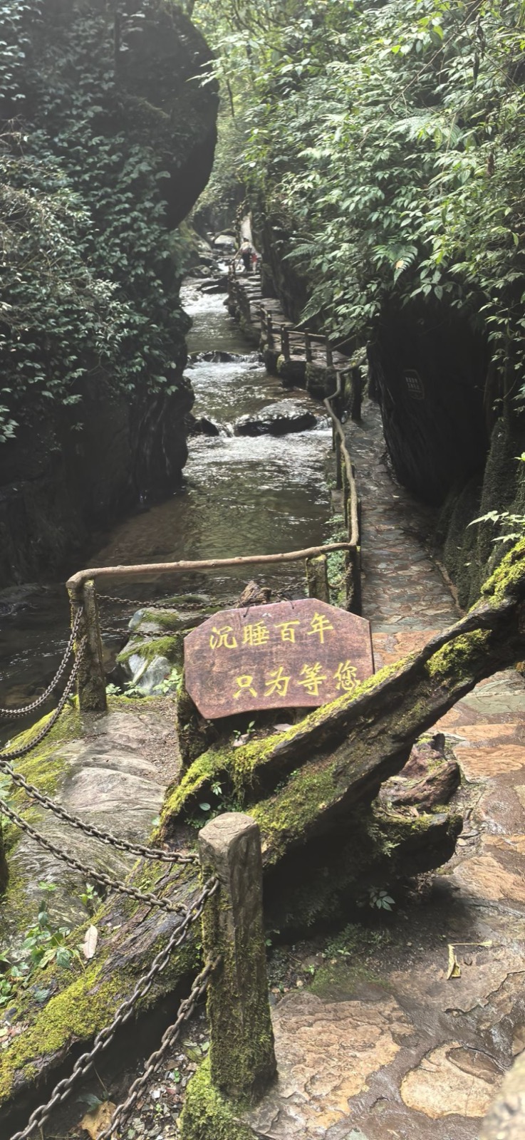 哀牢山石門峽