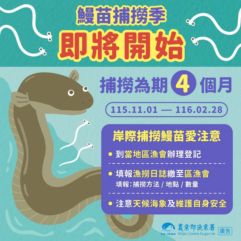 鰻苗捕撈漁季將到 推行鰻苗溯源管理制度