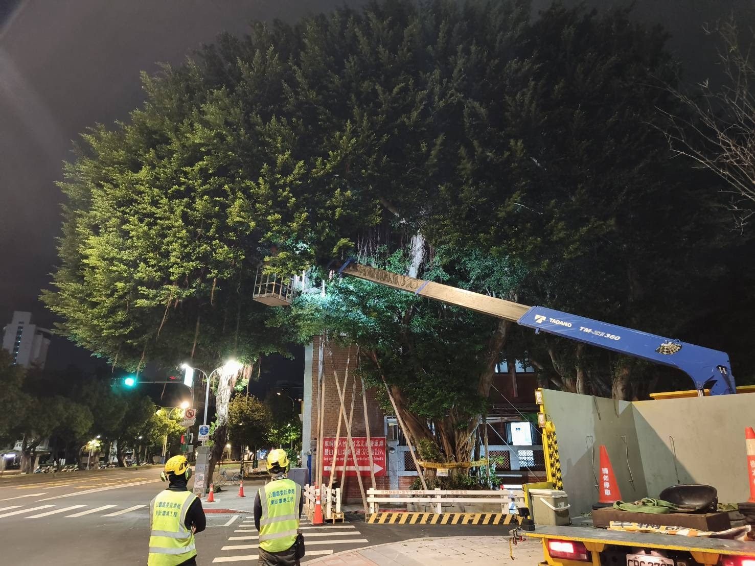 中山北路五段大樹花台持續位移 樹下為機車停等區 公園處10/30做緊急支撐及修剪 378巷部分封閉 留一線車道