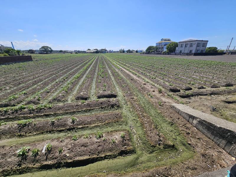 薔琵颱風農損公告救助 農業局提醒農民11/13前申請