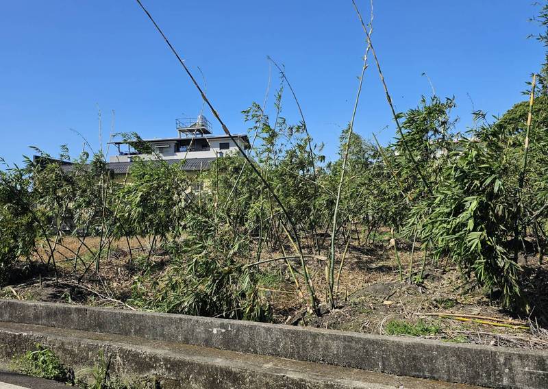 薔琵颱風農損公告救助 農業局提醒農民11/13前申請