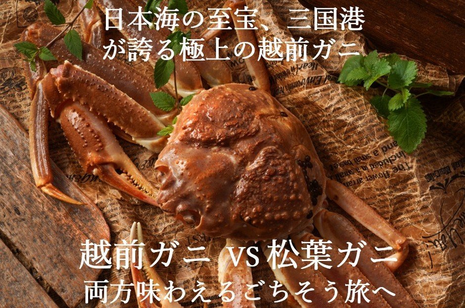 包車觀光計程車兩泊三日訂製行程 福井三國湊到兵庫城崎溫泉,可加點越前蟹、松葉蟹
