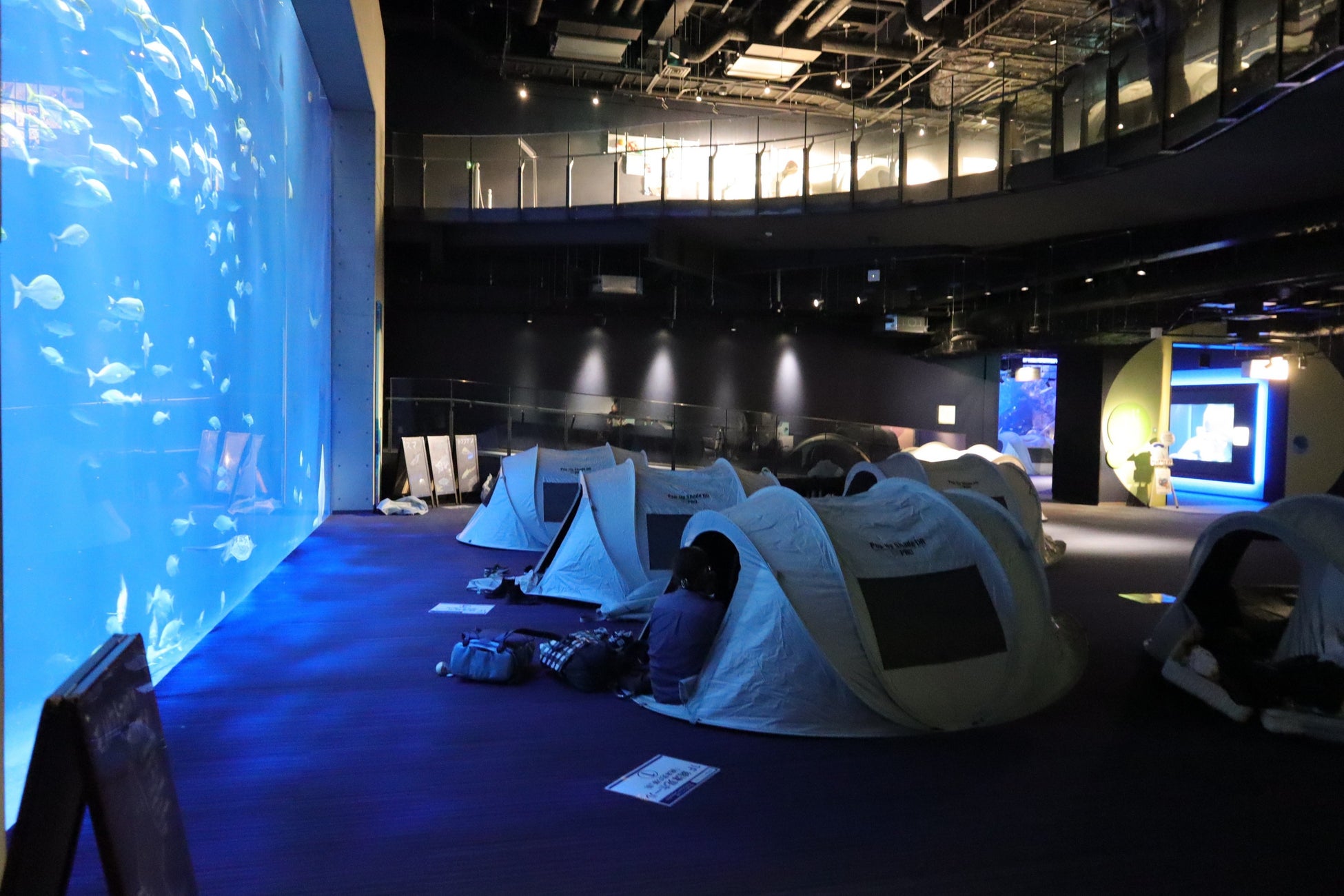 香川四國水族館「Nightscape Camp2026秋」11月28、29日 閉館後在水族館搭帳篷過夜