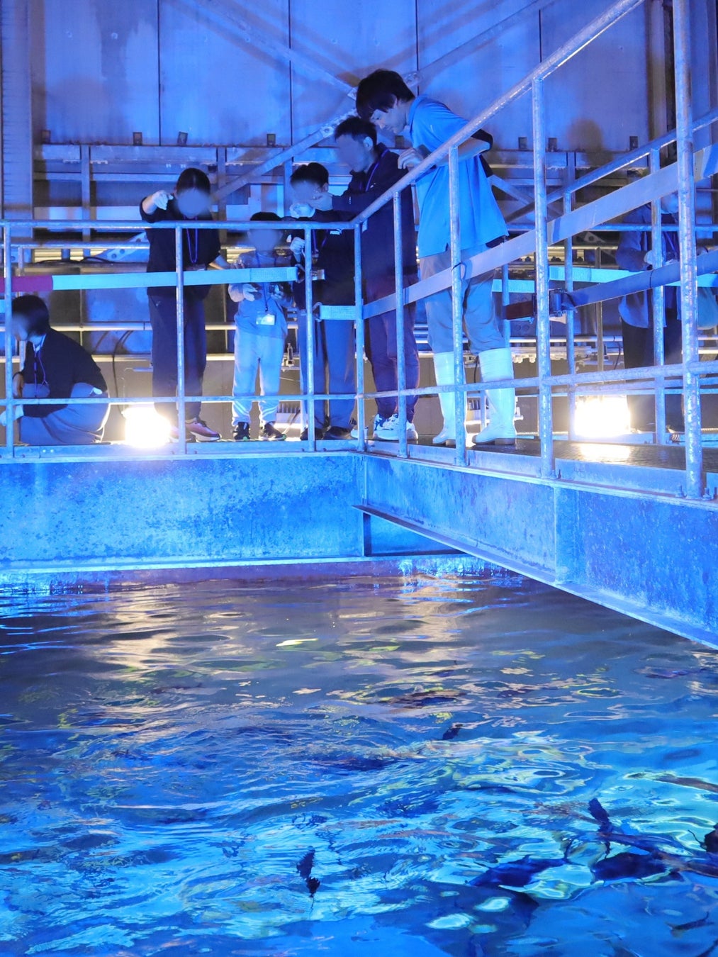 香川四國水族館「Nightscape Camp2026秋」11月28、29日 閉館後在水族館搭帳篷過夜